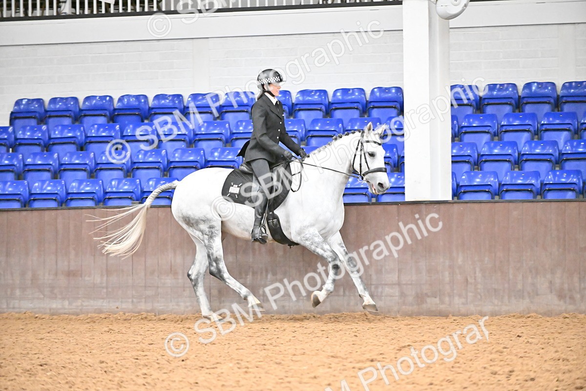 SBM_002664 - Class 28,29 - Ridden Irish & Coloured