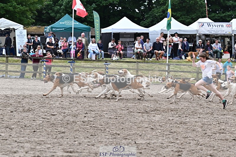 250524A-152735-12759 - East Devon Hounds