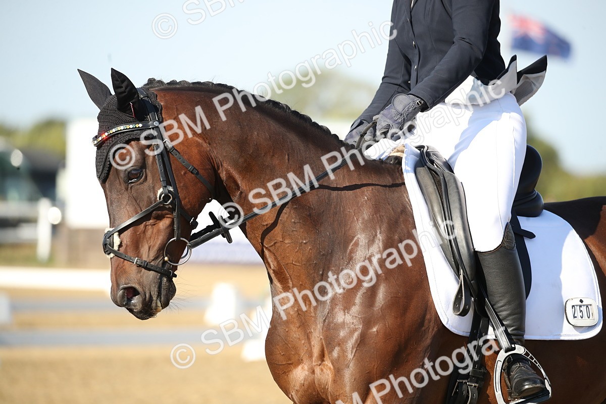 SBM_004499 - Class 11 - Novice 5 - 9.0010.03