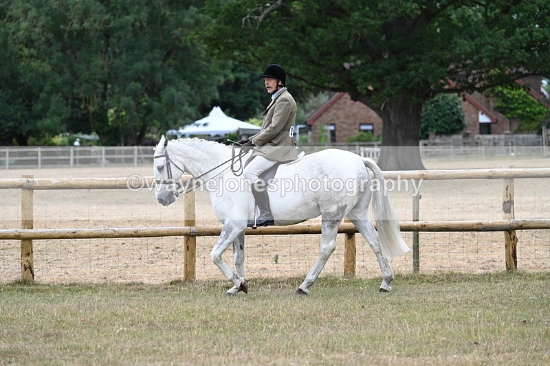 WJ7_0788 - Class 7 Riding Club Show Horse