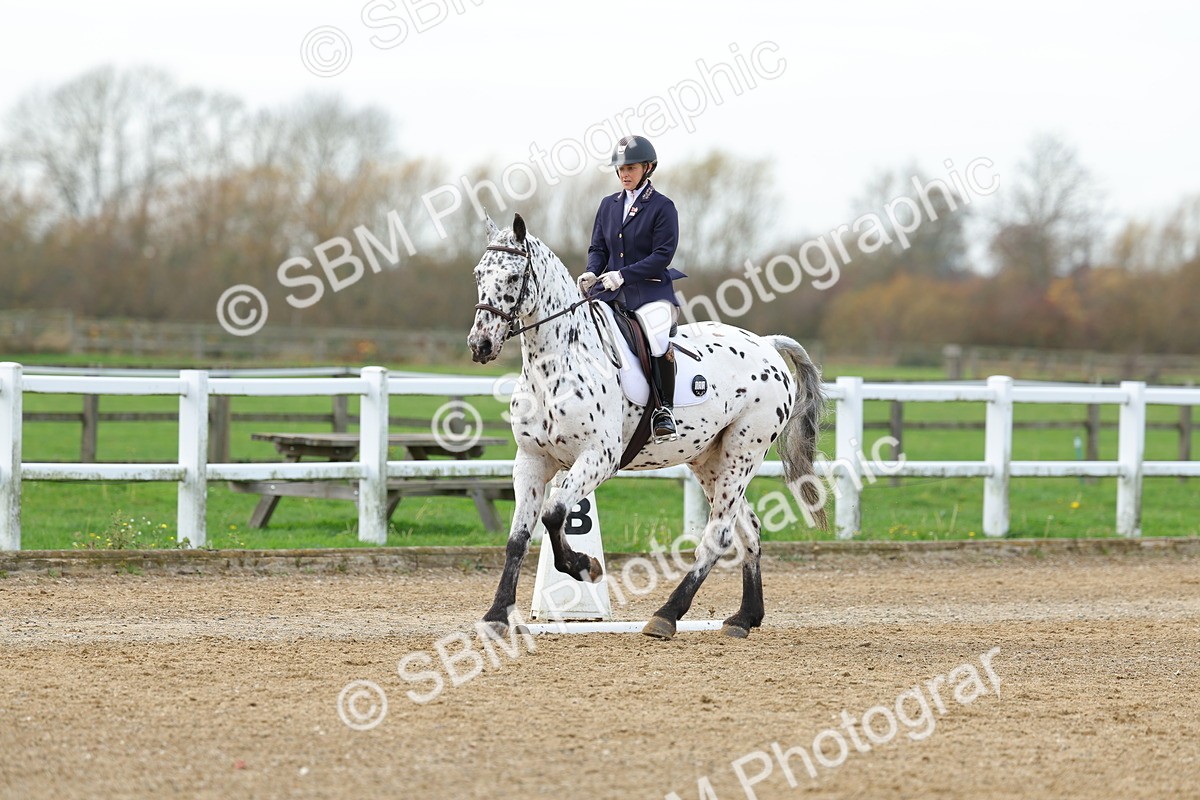 SBM_003868 - Class 9-8-11 - Elementary 1-Novice 4-Elementary 4