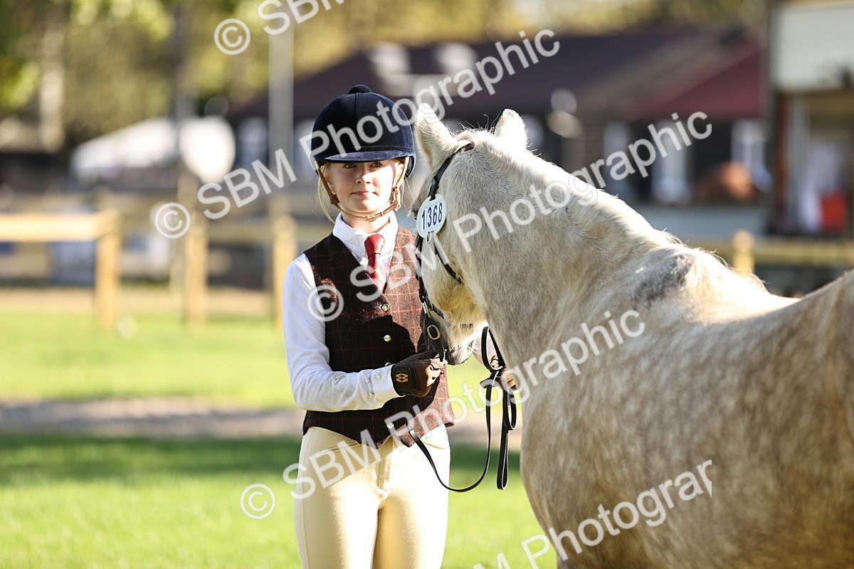 SBM_15895 - S1 - TSR in Hand Horse & Pony Showing