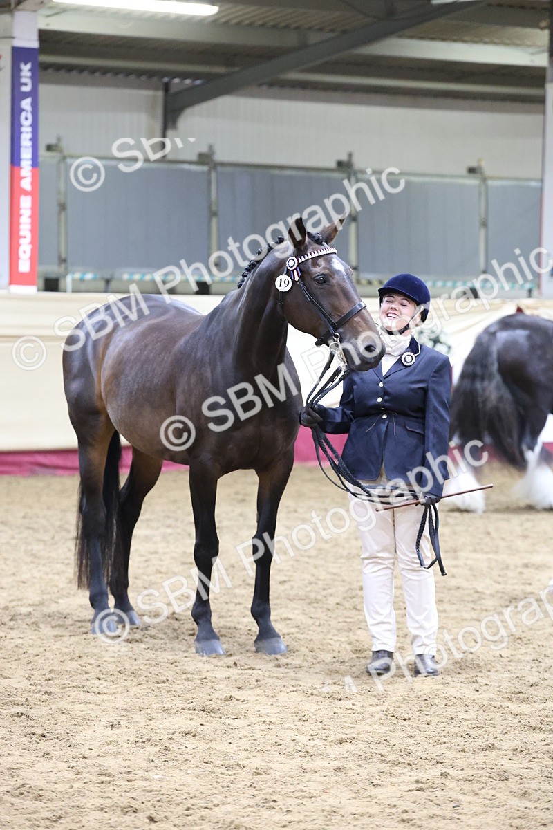 SBM_20167 - Class C - Novalty Champ