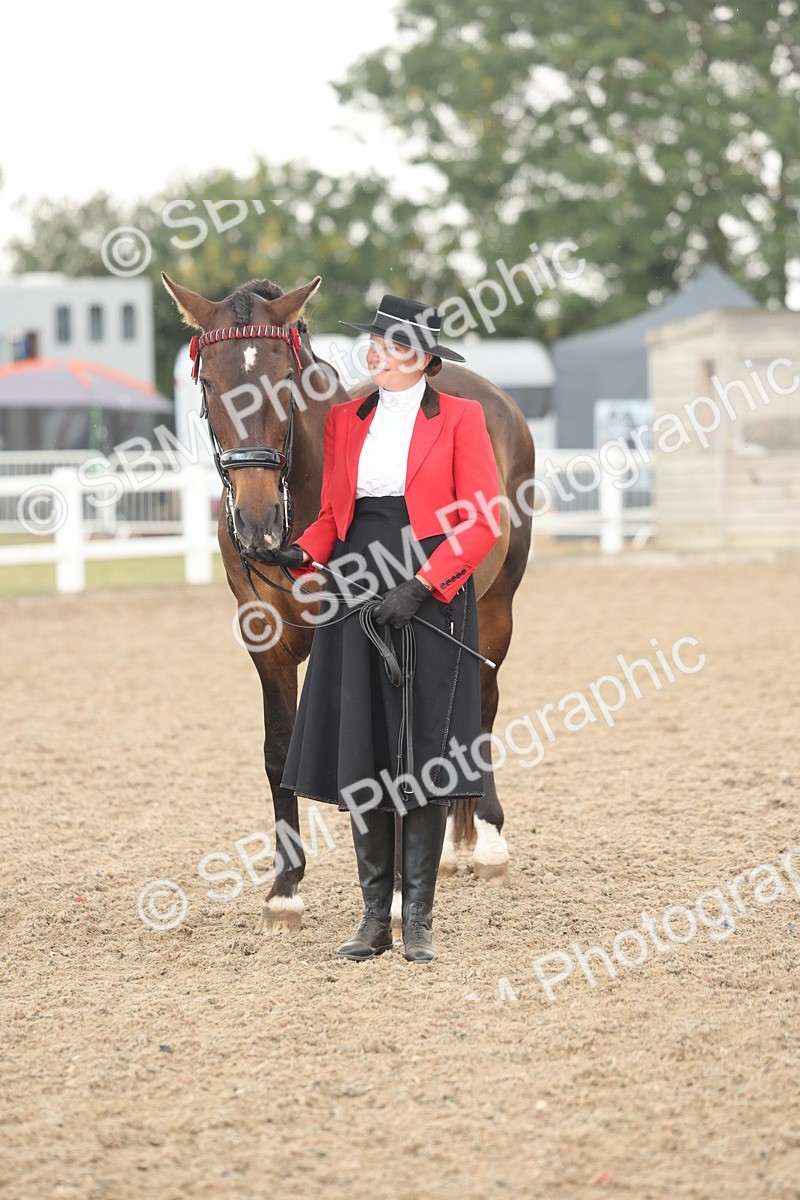 SBM_07698 - Class 26 - IH Foreign Breeds - Part Bred