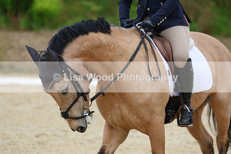 3E7A1763 - Class 3: Prelim 2 2024 Section A