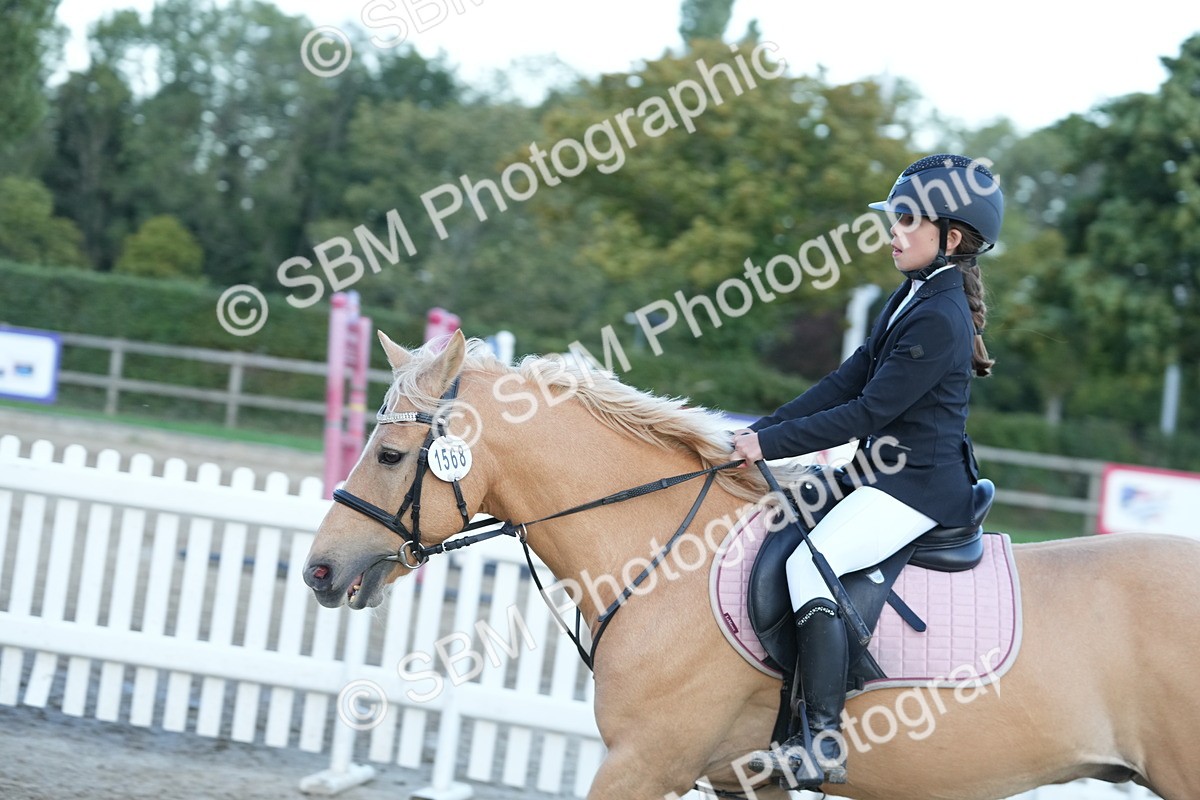 SBM_54206 - Supreme Championship 60cm 65cm