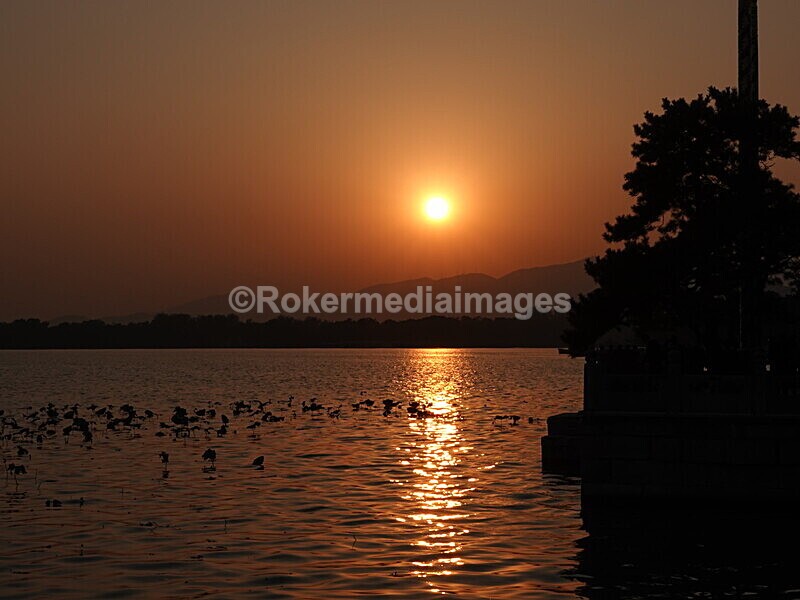 CHINA__1322 - China 2019