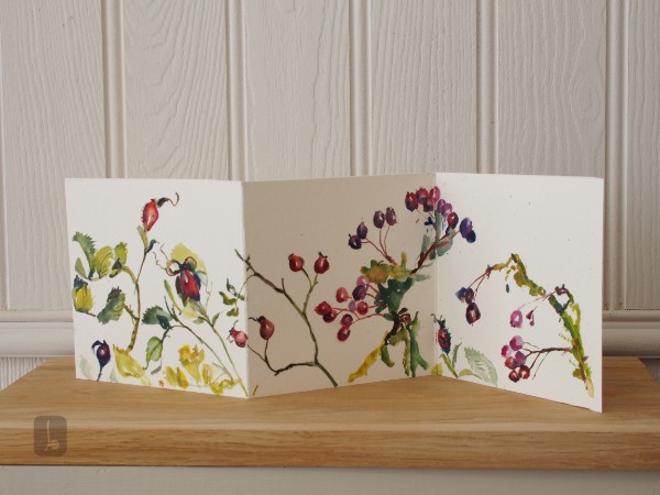 Rose hips and Hawthorn berries - Summer Light