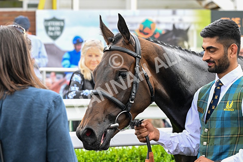 220626-Race 4-Velvet Rhythm-9303 - Race 4 16.00pm Congratulations To The Happy Couple EBF Fillies' Handicap