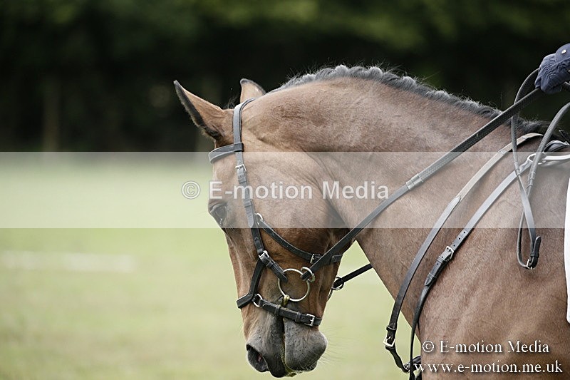 BVR080918 300 - BVRC Novice Dressage & CR 08/09/18