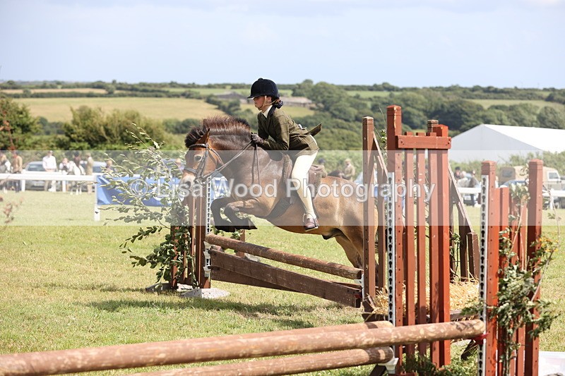 JPP_2031 - Class 19: Working Hunter 60cm