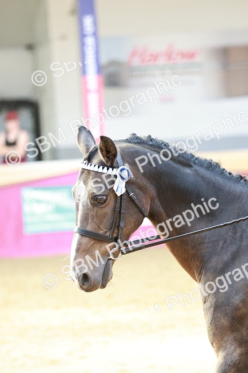 SBM_08285 - Class 11R - Regional Ridden Veteran