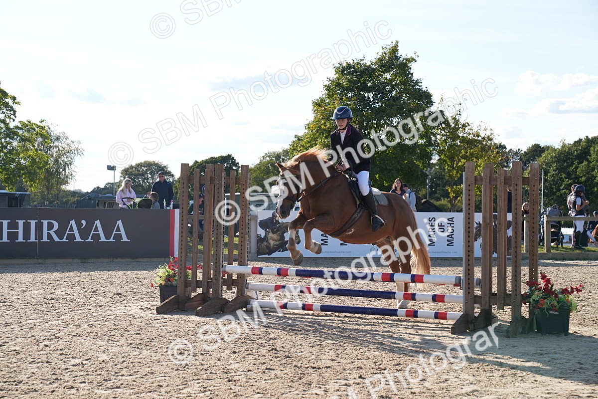 SBM_28043 - J43 - Super Speedy Scurry Open - 60cm