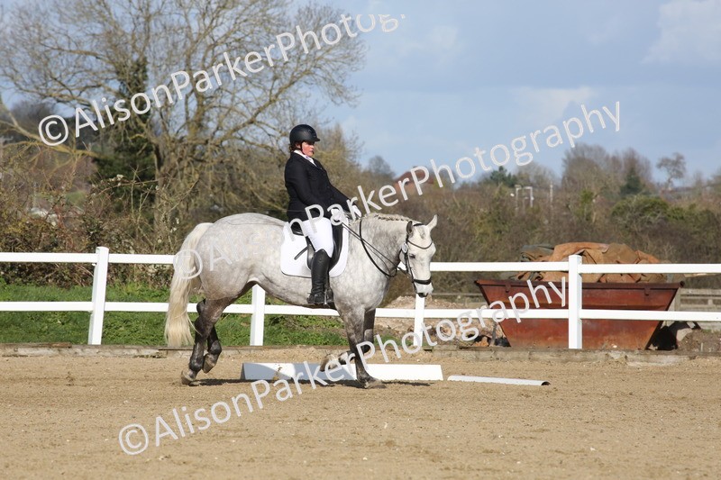 20260314-5248 - DR6 - Novice 2