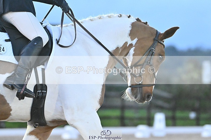 231105-165036-04122 - Cls 4 Novice 24 16.41 to End