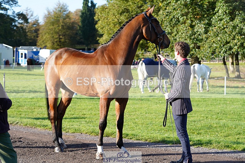 241026-100432-11584 - 013-Cameron.Beer-GREENLANES.LE.BAMBALOU