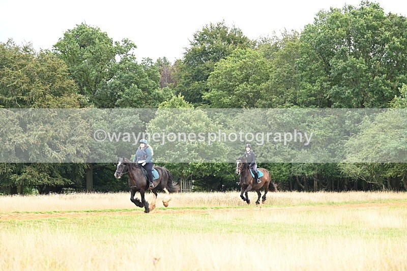 DSC_5089 - Time at Statue 11:10 to 11:42