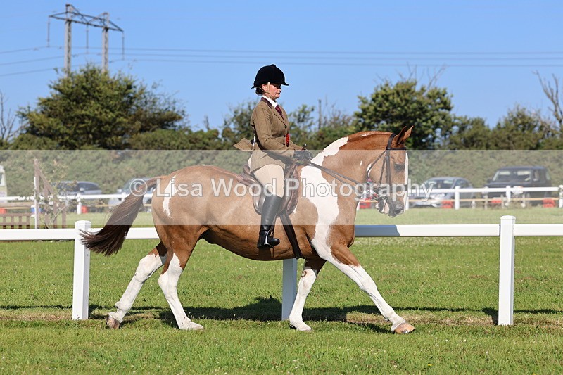IMG_1463 - Class 29:  Ridden Native/Trad Coloured Horse