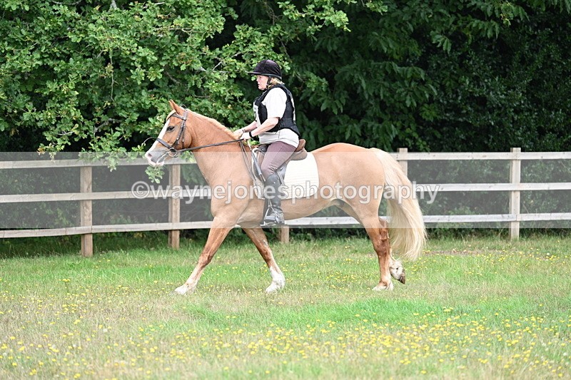 WJ7_0300 - XC Time 10:05 to 12:27