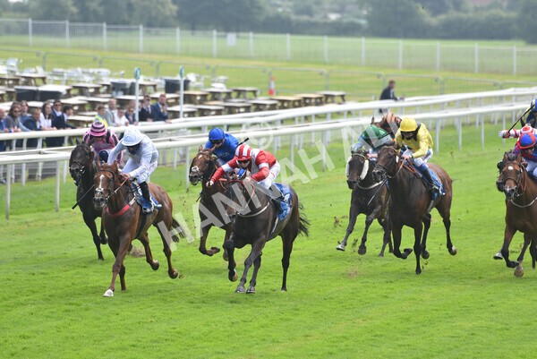 yr10072021r1-13 - Race 1: 1.45pm John Smith's Racing Stakes