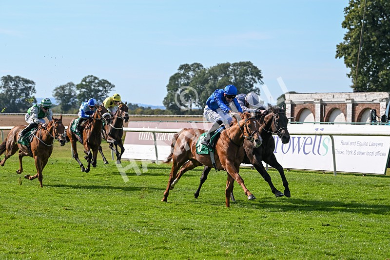 160924-Race 4-Watching Stars-2876 - Race 4