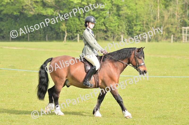 20260426-0850 - Class 18 - Novice Showing