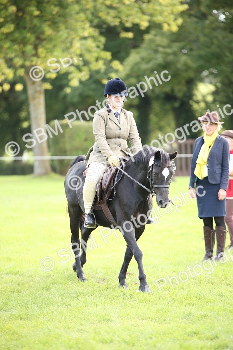 SBM_50156 - S26 - Young Veteran - Ridden