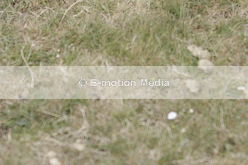 BVHT 140517 I-909 - Class 1 SJ Intermediate 14/05/17