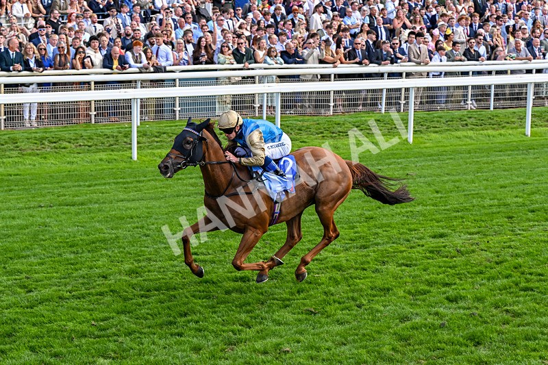 220826-Race 1-Archivist-0245 - Race 1 13.50pm Sky Bet Strensall Stakes