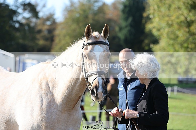 241027-103334-15964 - 519-Jane.Rogers-CORRIEVIEW.MERLIN.MAGIC