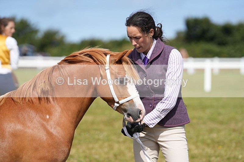 DSC05567 - Class 50: NPS M&M 4 years and over Small Breeds
