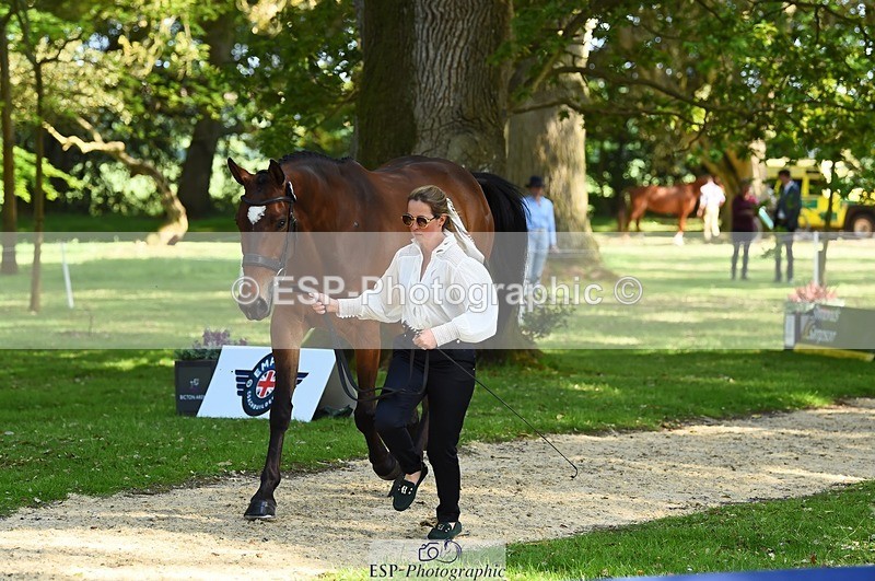 230524-164418-01059 - 132-OGUE_VERDI-Kitty_King-WEDTrotUp+DR