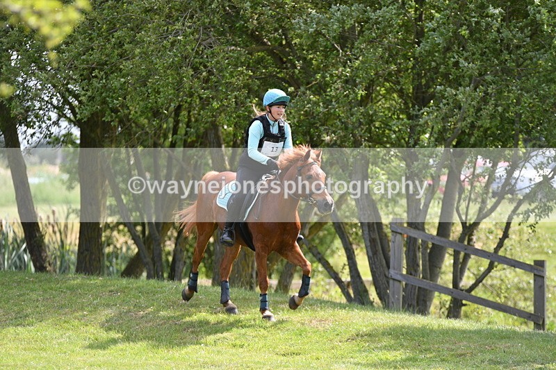 WJ5_2618 - Class 2 40cm