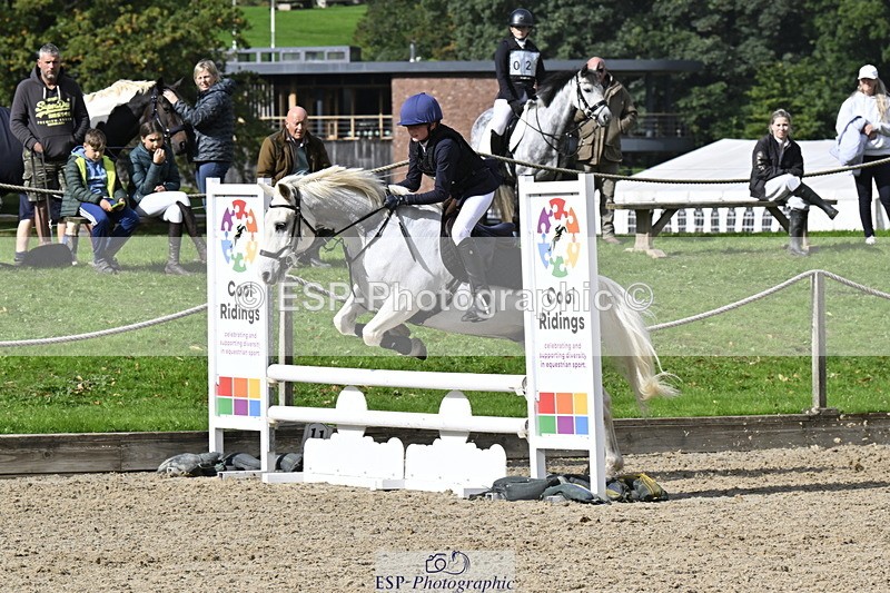 251005A-125423-03947 - Cls 08 Mini 70-75cm