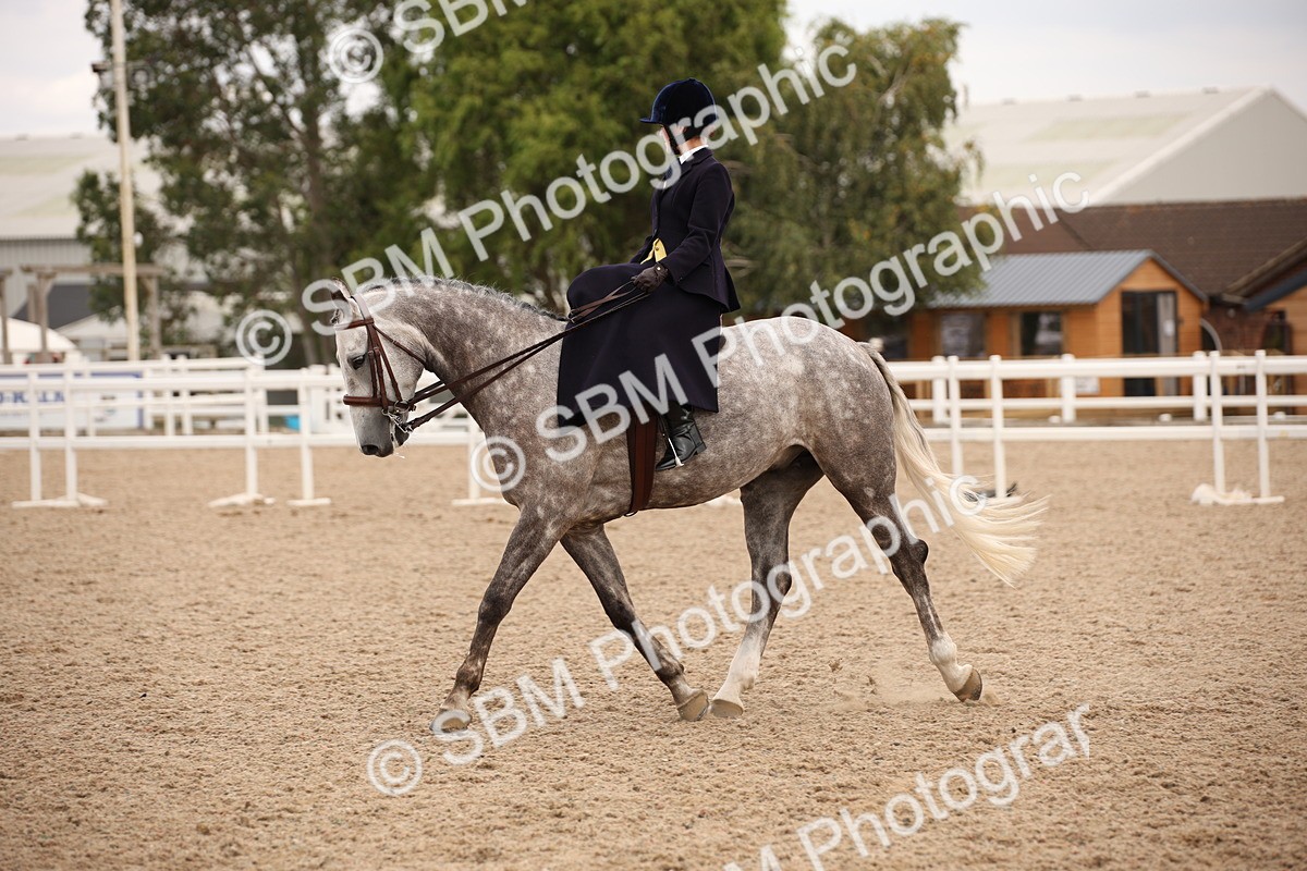 SBM_05488 - Class 22 SSA Equitation