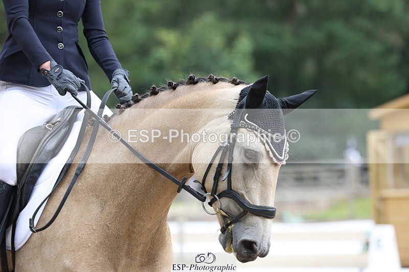 230813-115338-06977 - Cls 11 Elem Bronze 11.10 to 12.20 break