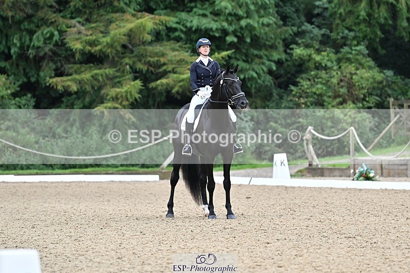 240810-102553-02661 - 235-Rebecca.Cowderoy-Nights.Dream