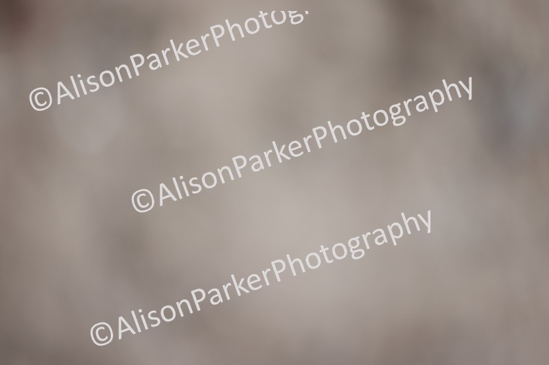 20251207-0890 - Class 5 - Elementary 5