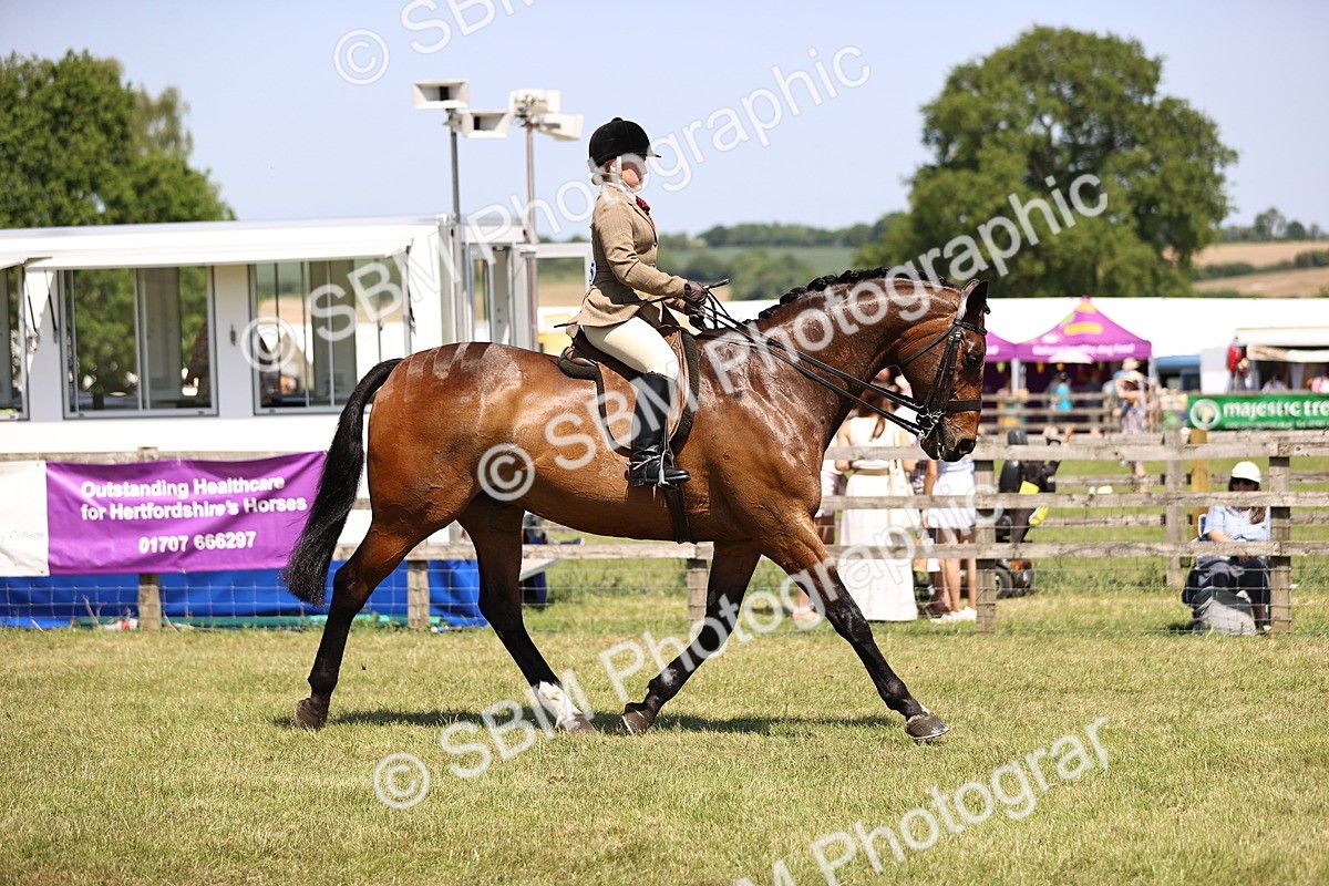 SBM_17706 - Class 81-83 - TSR Ridden Amateur of the Year - Horses