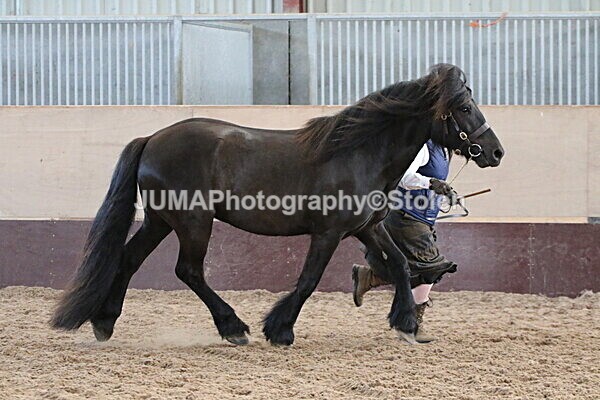 SIAL9398 - Indoor Classes