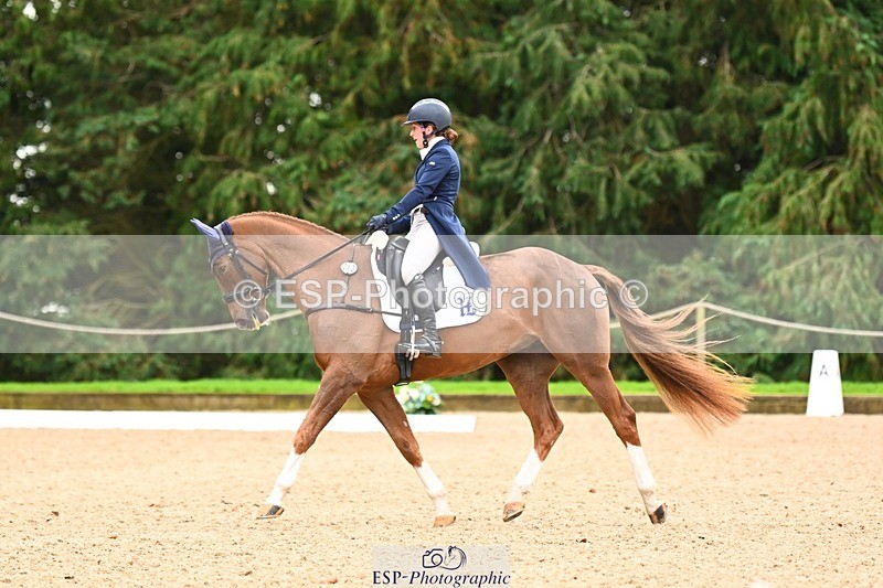 231020-153124-11849 - 213-MGH.HILDARE.HARLEQUIN-Danielle.Mccormack-DR