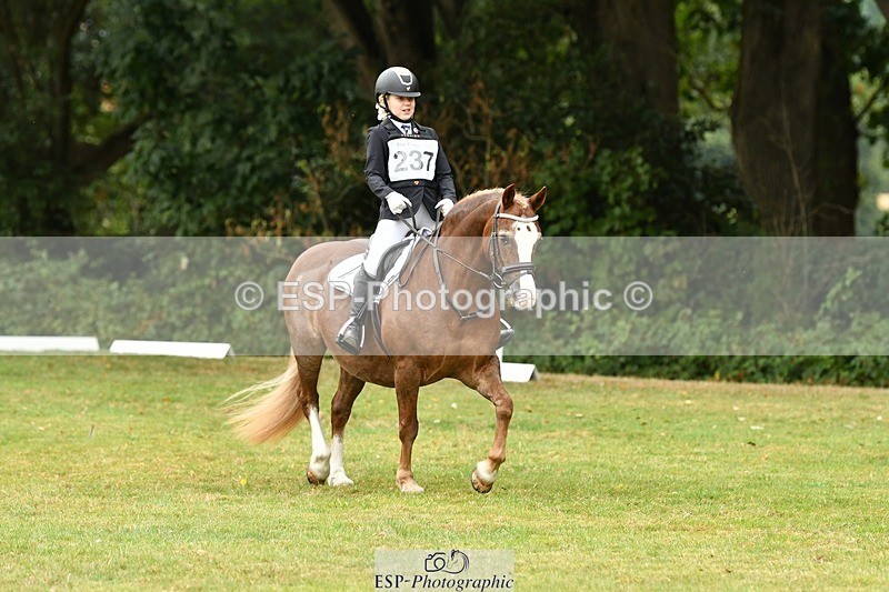 250820A-121740-05542 - 12 to 13.00