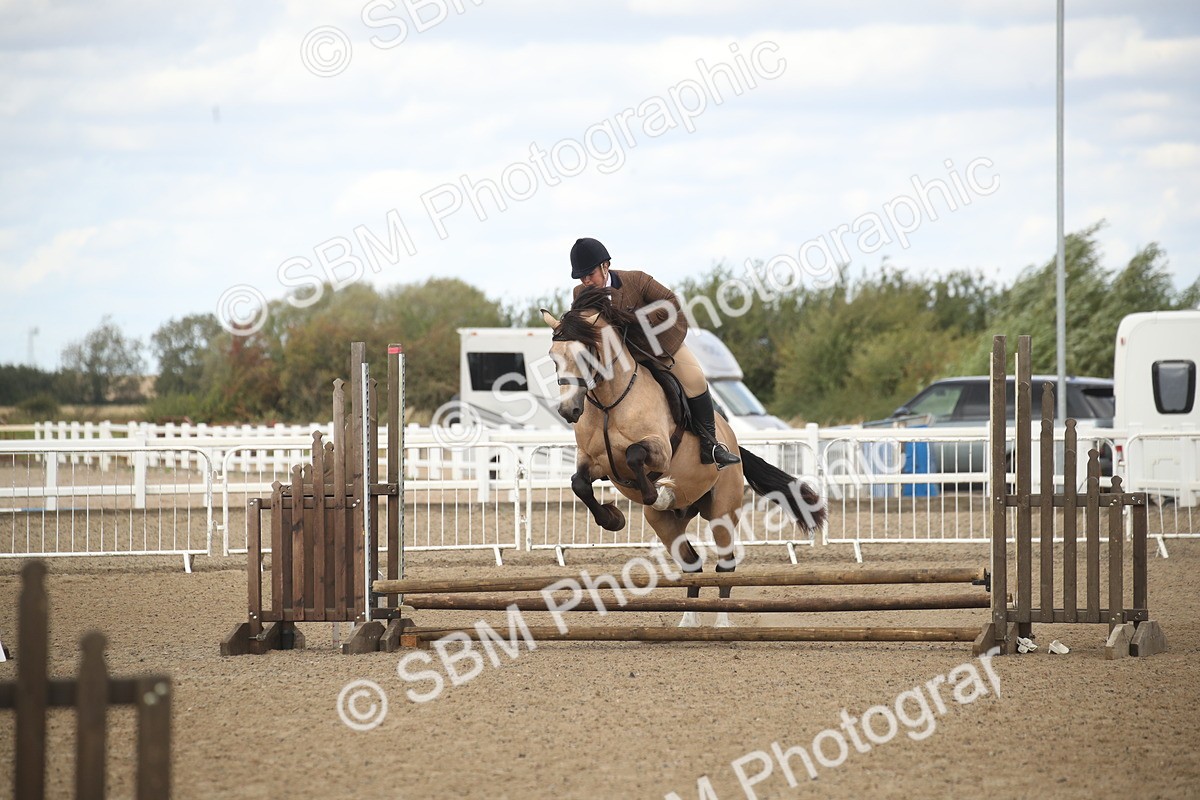 SBM_14560 - Class 505a - M&M Working Veteran - 50cm (15-19)