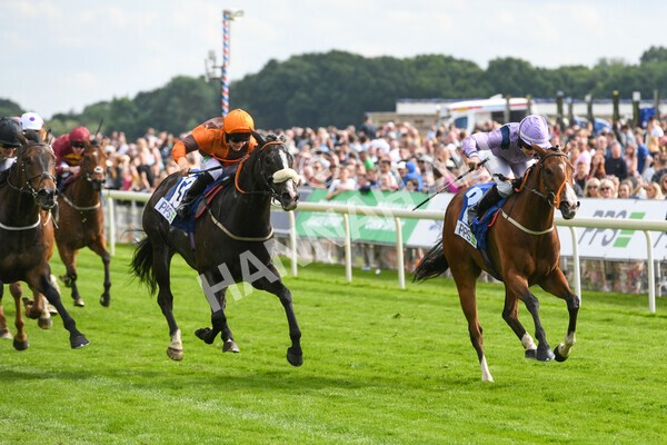 yr11062022r8-21 - Race 8 5.25pm Clean up with PPS Stakes