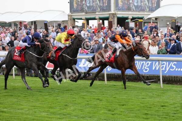 yr19082021r2-22 - Race 2 2.25pm Goffs UK Premier Yearling Stakes