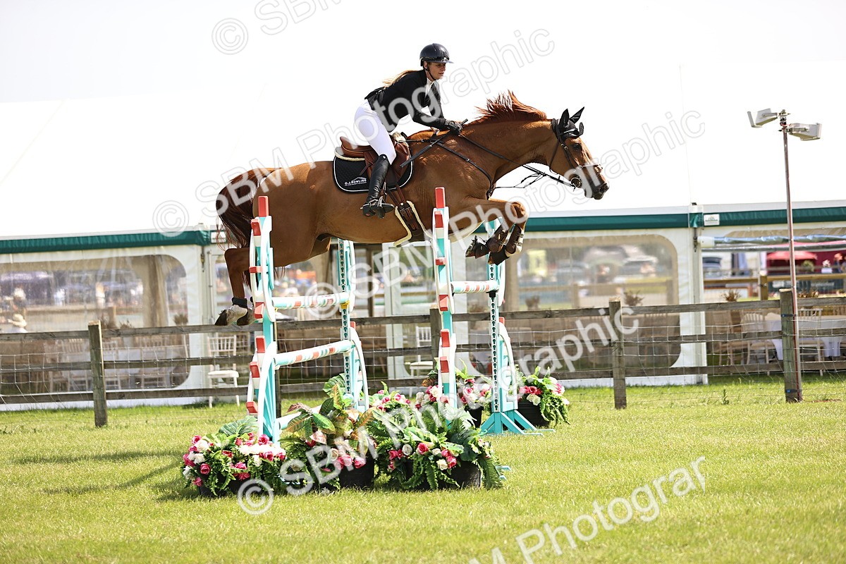 SBM_03111 - Class 201 - British Horse Feedds Speedi Beet HOYS Grade C