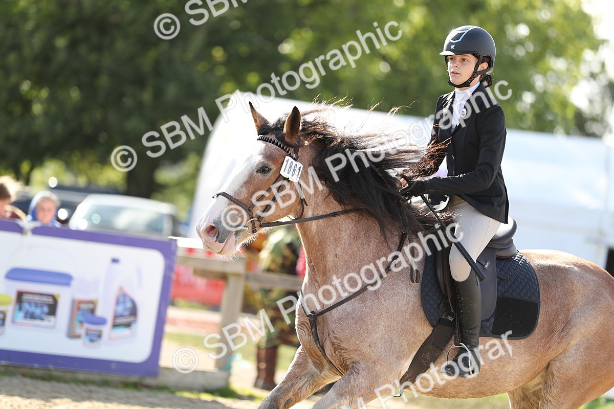 SBM_49592 - J22 - Junior Horse 65cm Championship