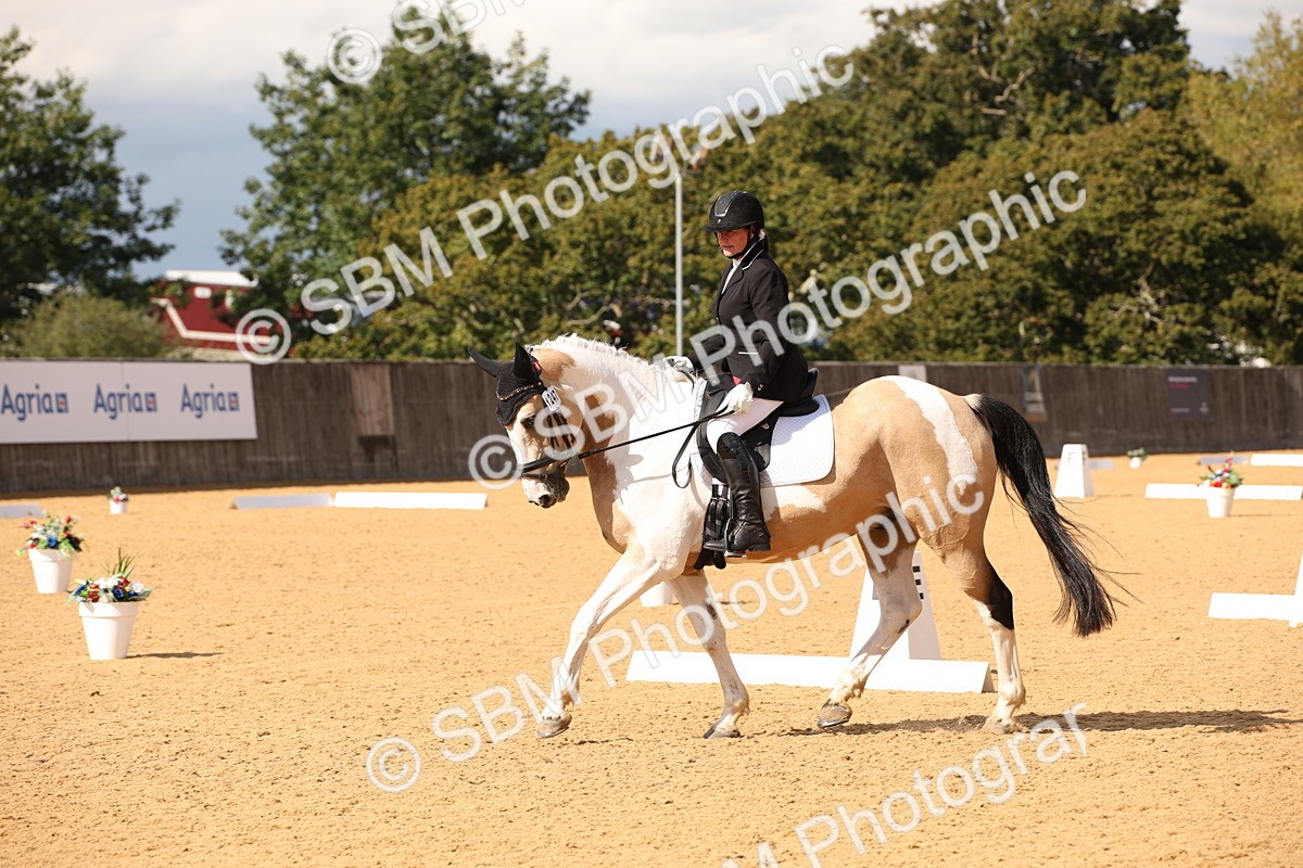 SBM_09029 - D8 Small Tour Championship Prelim 7