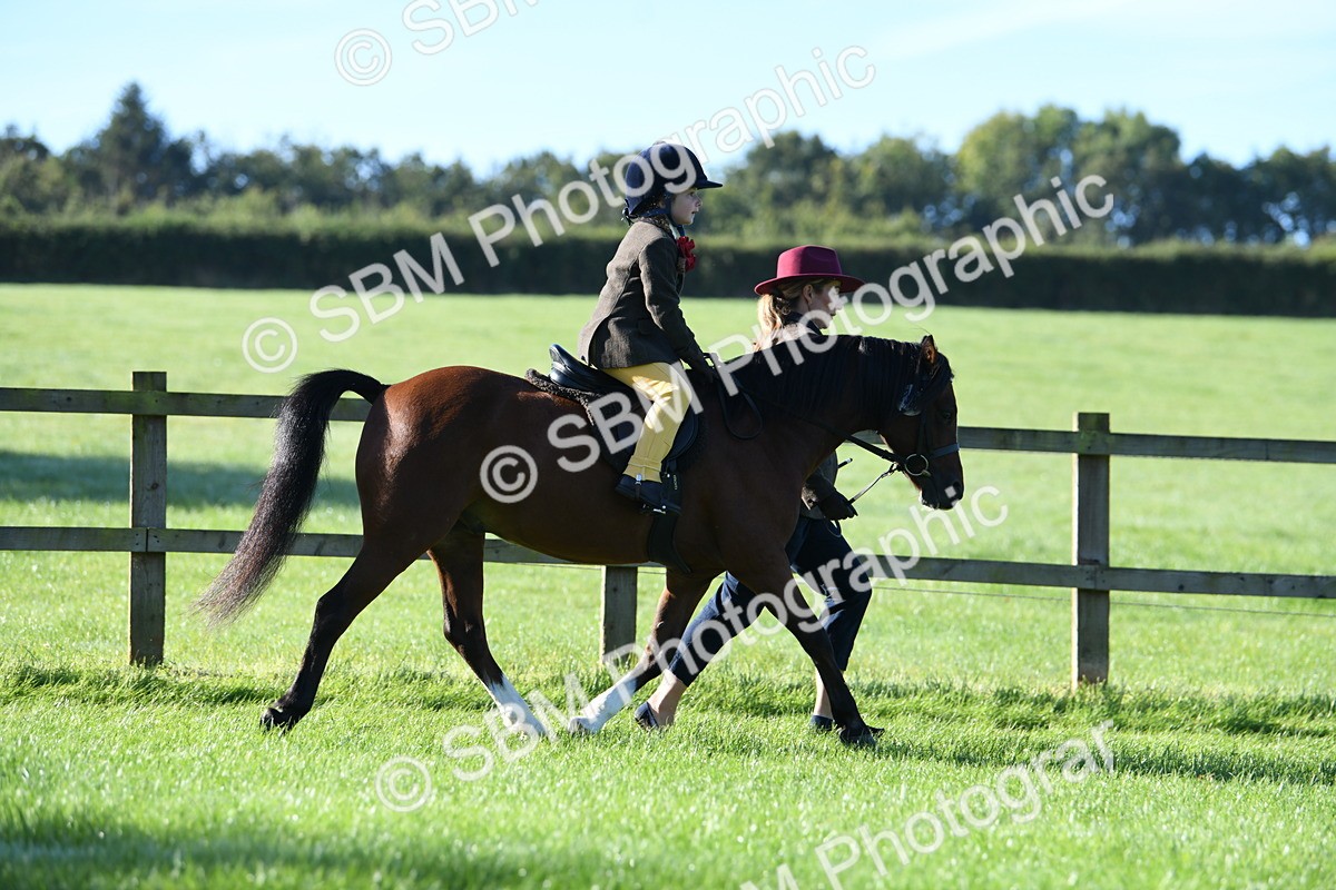 SBM_35343 - S17 - Condition & Turnout - Lead Rein
