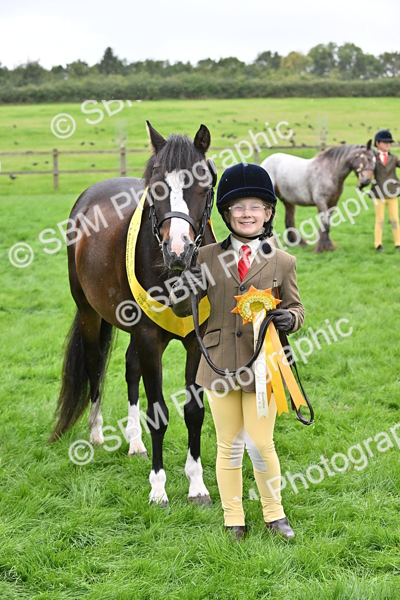 SBM_68617 - S42 - Junior Handler 9-12 Years